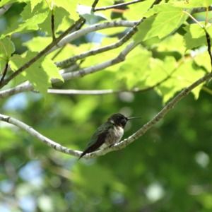 Meet your Posher, Jill